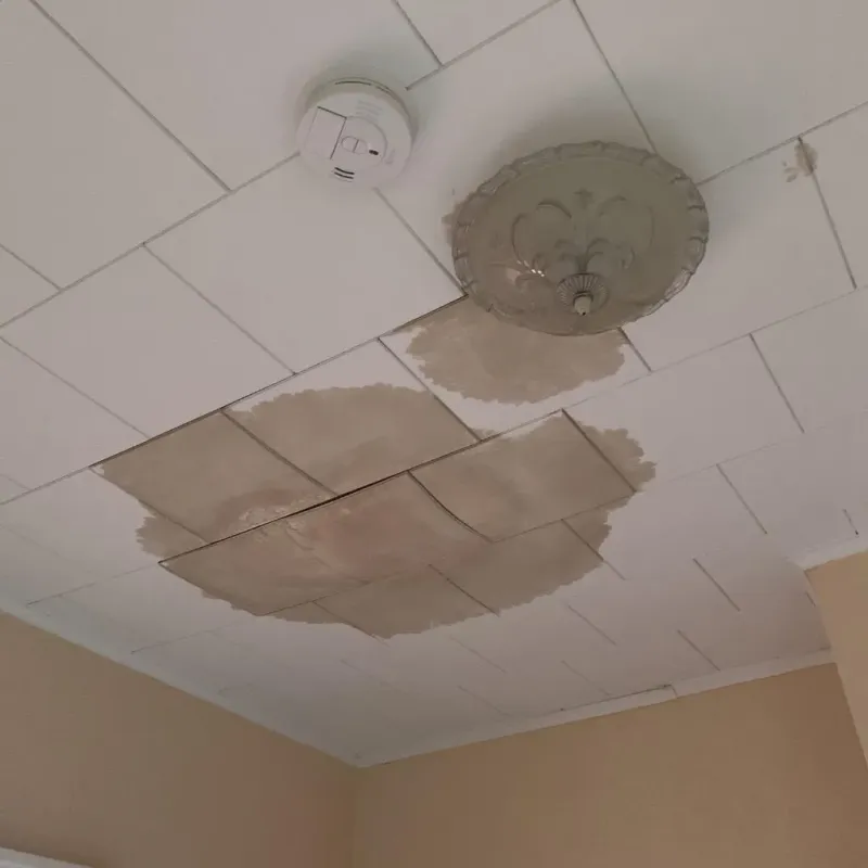 Ceiling Water Damage Repair in Phillipston, MA